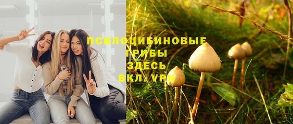 твердый Алзамай