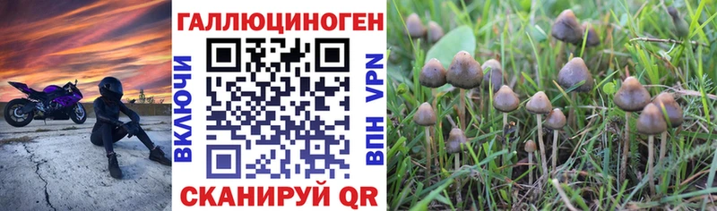 наркотики Емва Псилоцибиновые грибы Psilocybe